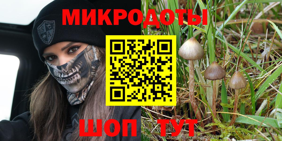 Галлюциногенные грибы Magic Shrooms Тосно